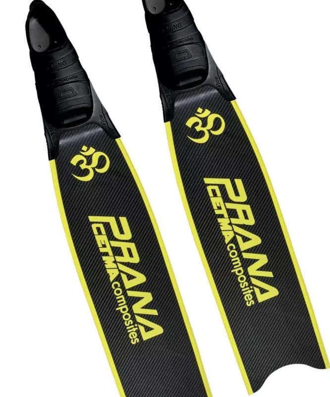 cetma fins