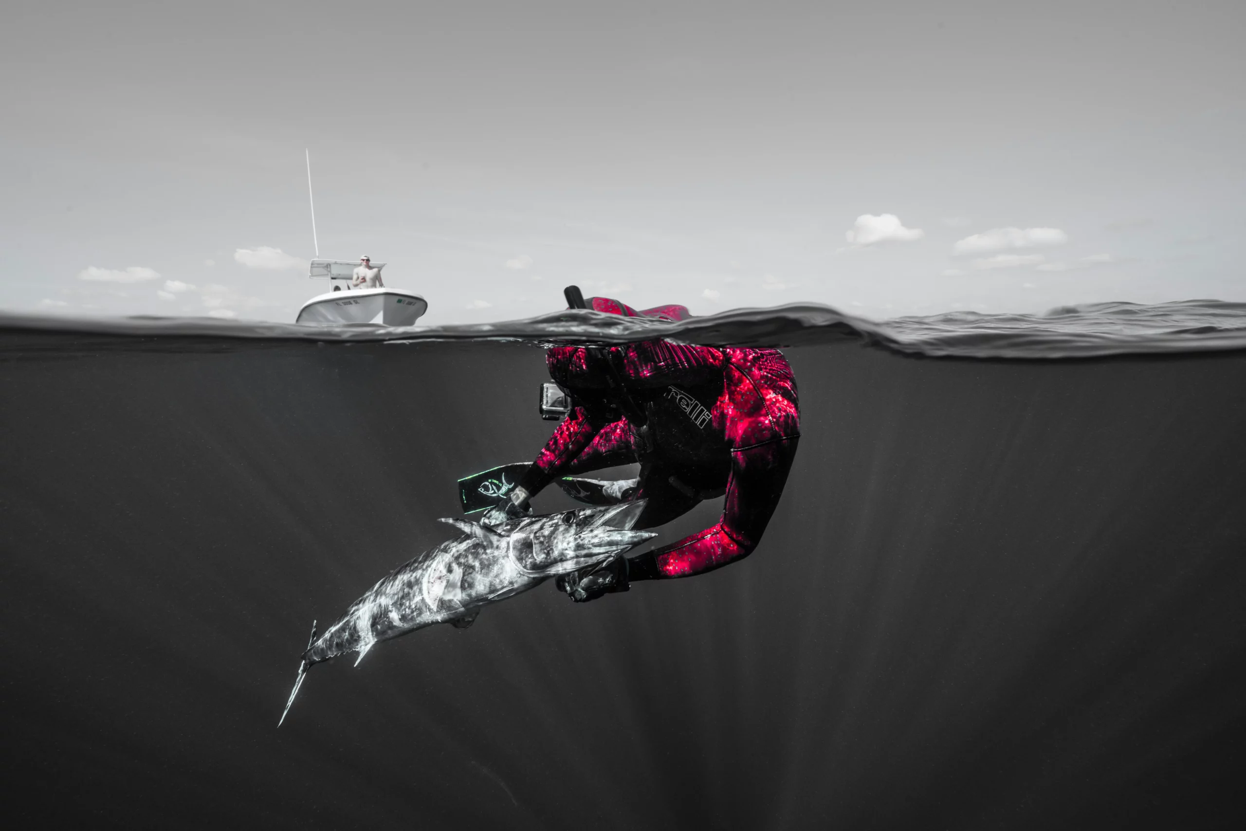 Spearfishing group and community