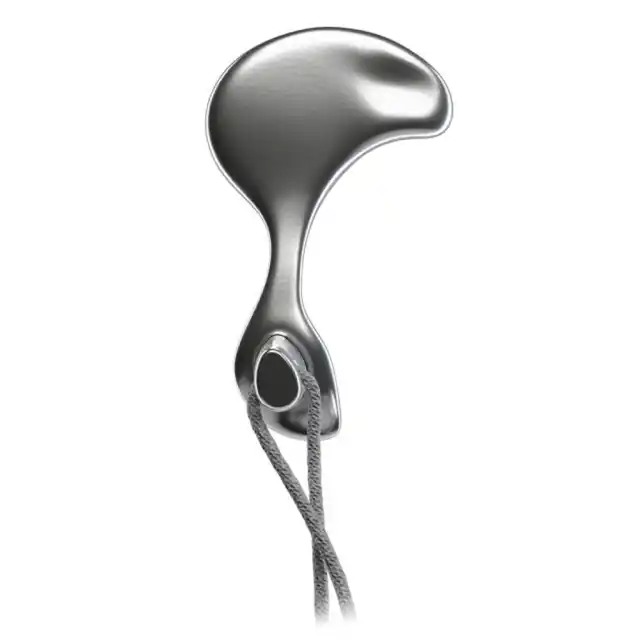 silver nose clip lobster