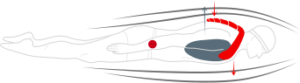 Lobster system enables streamlined position