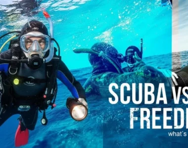 scuba vs freediving